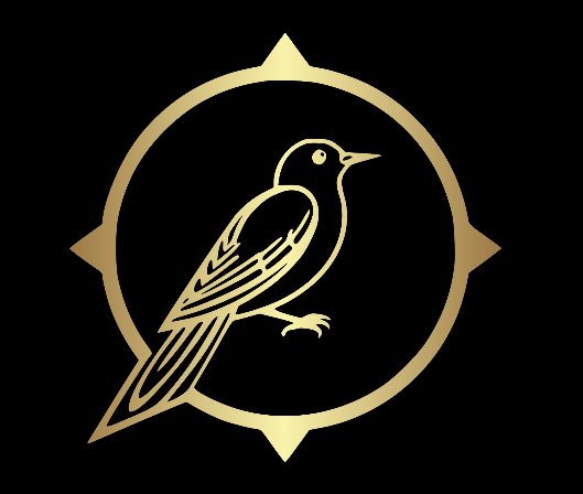 Le Canari Noir